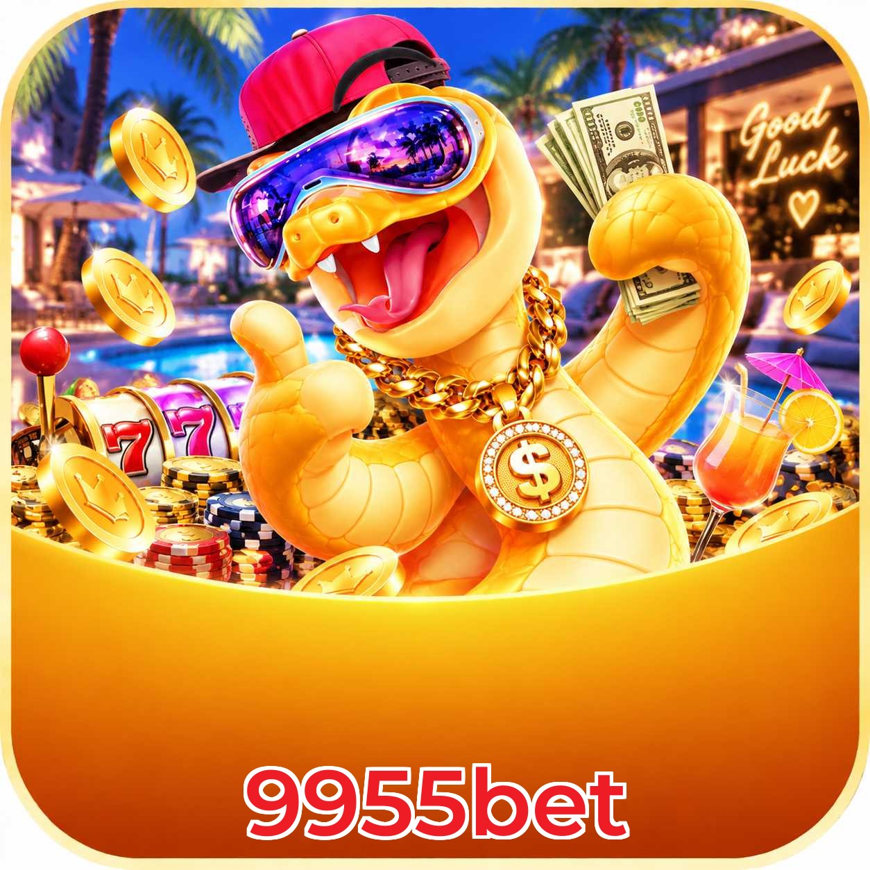 9955bet Recuperar Senha