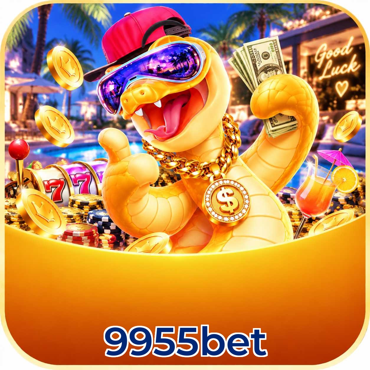 9955bet Download Links