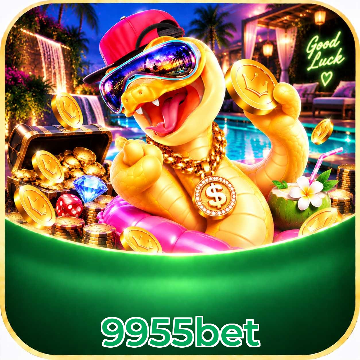 9955bet Performance